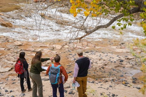 seen from behind, standing on a river bank, a woman and 2 men stand next to a woman pointing at a running river