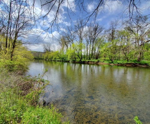 A clear river flows through green trees.