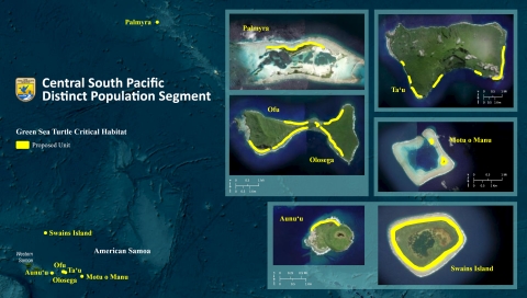 A map of America Samoa that show the locations of the proposed critical habitat for green sea turtles highlighted in yellow