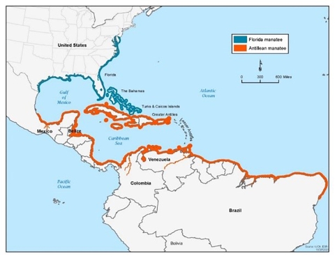 map of manatee range