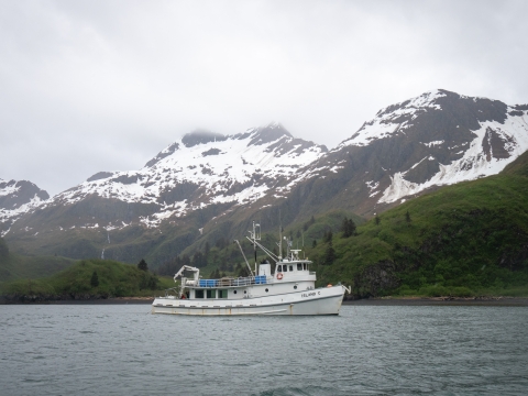 Research vessel Island C in cove with snow covered mountains in the background.