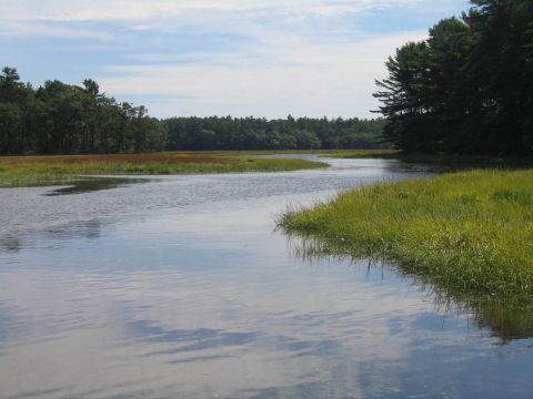 A wide river stretches from the foreground to the background, edged by bright green grasses and dark green trees, with a cloudy sky above