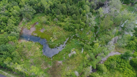Pond at the lower end of Penny Springs