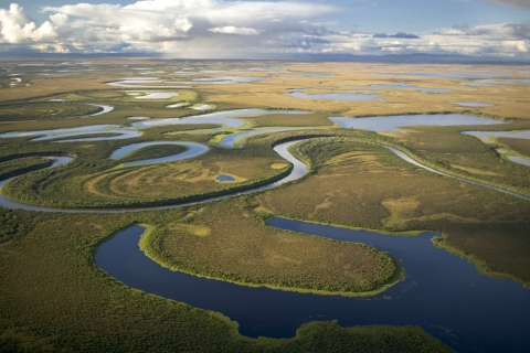 A river winds through wetlands 