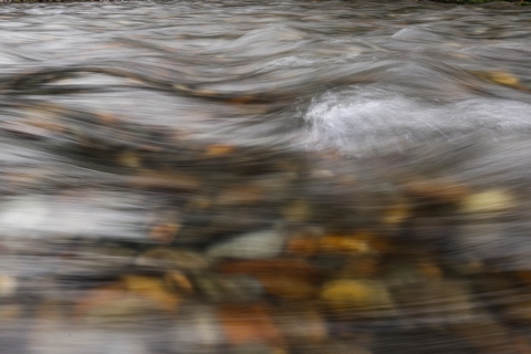 Clear river water flows over a rock-covered stream bottom