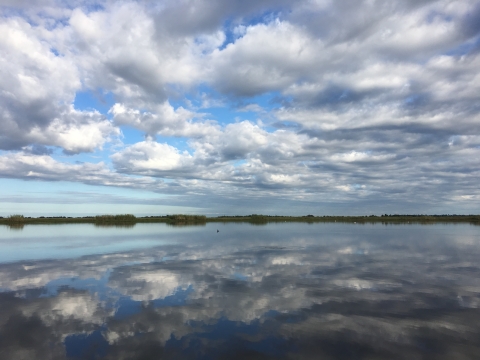 Horizon of Pearl River Watershed