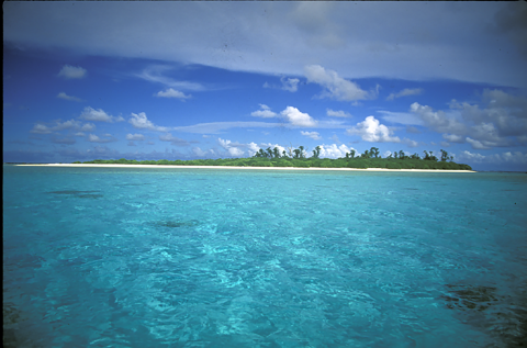 An islet at Rose Atoll sits on a bed that is a crystal blue ocean