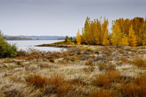 Fall afternoon view of Umatilla NWR wetlands