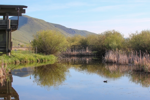 Pond with a distant boardwalk and building on the left.