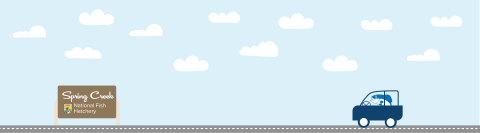 A graphic featuring a light blue sky with puffy clouds. At the bottom of the graphic, a fish drives a car along a road toward a sign that reads "Spring Creek National Fish Hatchery"
