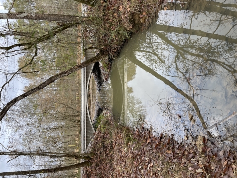 A brand new bridge over a free-flowing creek in the fall