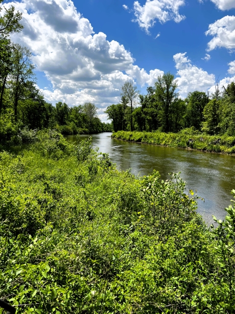 Kankakee River in Indiana