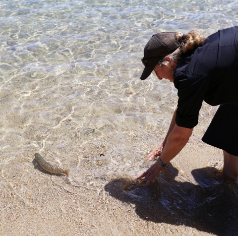 A person releases a fish into clear Lake Tahoe waters. 