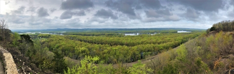 Panoramic image overlooking a wide river expanse with green summer foliage