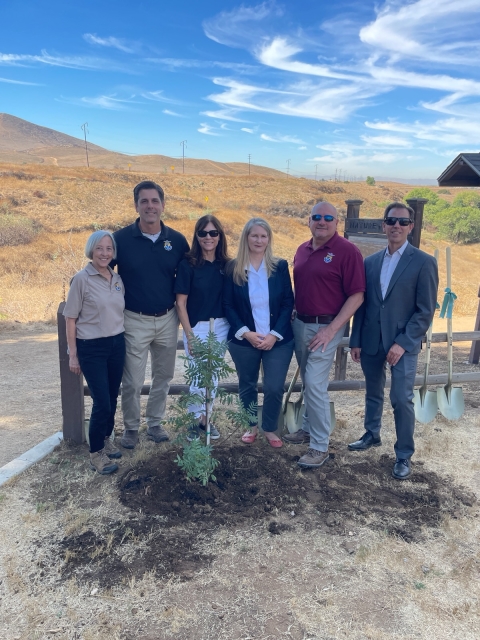 People standing in front of a newly planted tree