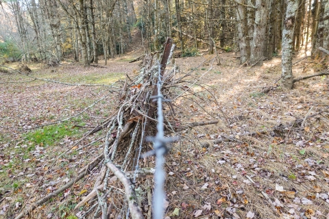 Twigs and branches piled up on a fence post