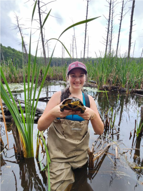 A Young woman stands in a marsh, wearing waders and holding up a medium sized black and yellow turtle.