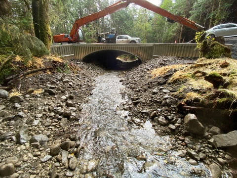 A small stream flows under a metal culvert beneath a road, surrounded by rocky banks. Construction equipment and vehicles are visible on the road, with dense forest in the background.