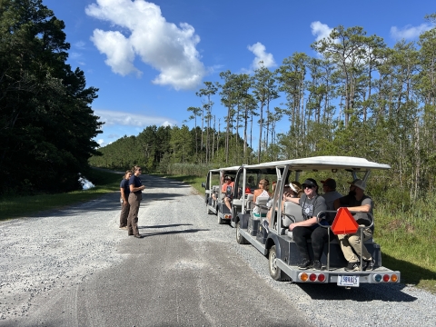 Two people in blue t-shirts stand next to two long golf-cart style trams. The trams are pulled off on the side of a gravel road through a pine forest.