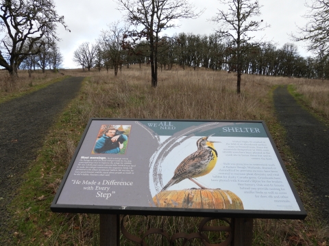 Interpretive sign between two different trails.