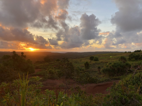 Sun sets over the savanna habitat in the Mariana Islands