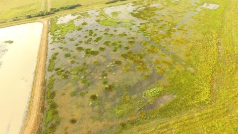 Aerial image of a flooded wetland