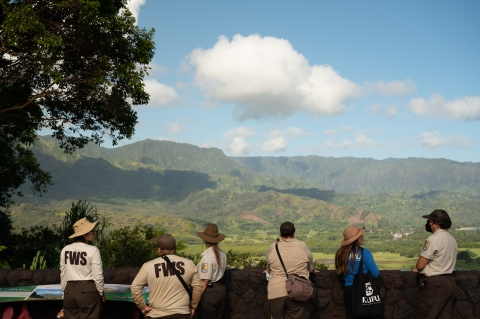 Five people looking out at the mountains