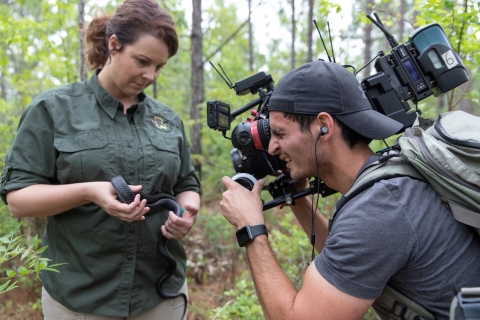 a camera man zooms in on a woman's hands as she holds an indigo snake