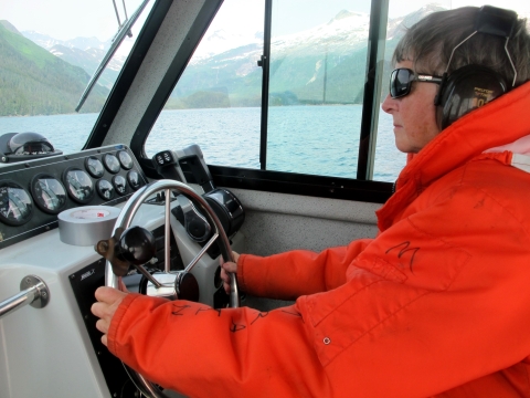 Biologist driving a boat