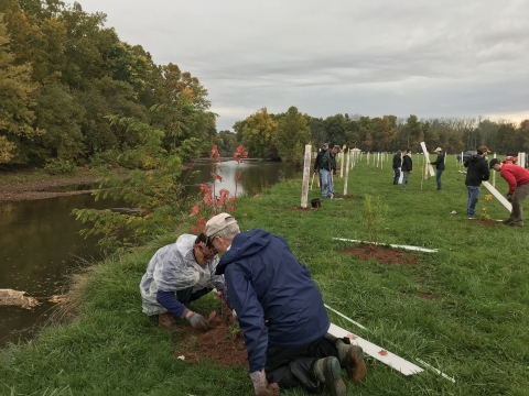 Two people kneel on a grassy bank to plant a tree next to a river with more people planting trees in the background. 