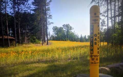 A gas pipeline maker with pollinator habitat along a right-of-way