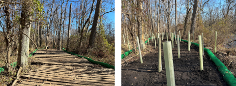 Side-by-side photos showing an access path created to enable heavy machinery to access a dam, and the restored path after removal