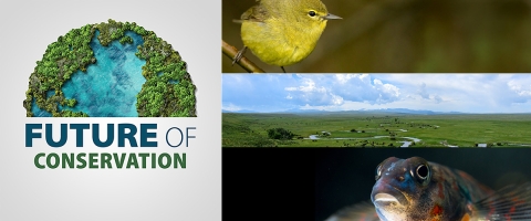 Future of Conservation podcast logo along with photo of an orange-crowned warbler, aerial shot of Illinois River, and a closed-up shot of a candy darter.
