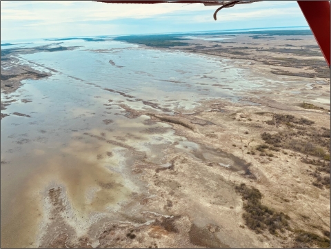 aerial view of brown landscape with wetlands