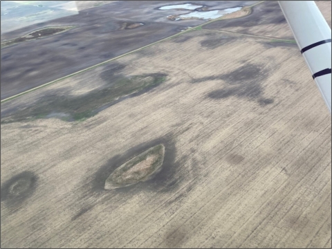 aerial view of dry and brown landscape 