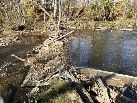 View of a derelict dam with trees growing out of the top