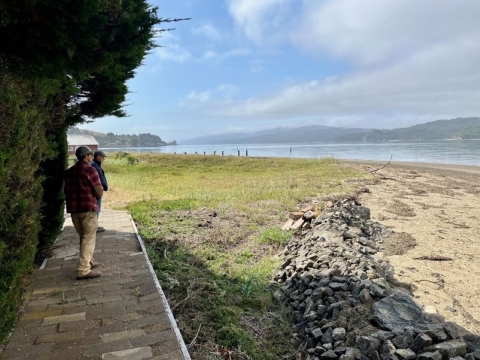 Coastal Program staff inspecting shoreline at an Audubon Canyon Ranch property on Tamales Bay in Marin County, California. 