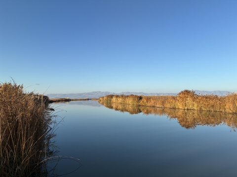 Image of Bear River Migratory Bird Refuge's Unit 2 in 2025