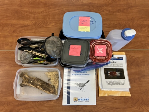 Bills & Beaks Education Trunk Materials