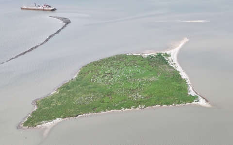An aerial view of Dressing Point which looks like an oddly shaped green block with white dots.