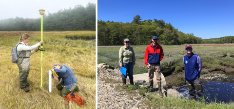 Photo collage of two photos, one on the left with two people in a salt marsh collecting elevation and water level data, and the other photo of three people standing on the edge of a saltmarsh with a metal pipe culvert