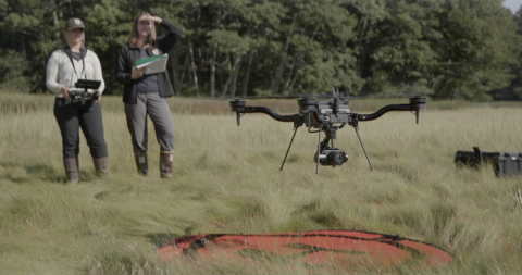 Two biologists on a saltmarsh flying a drone with a landing pad below