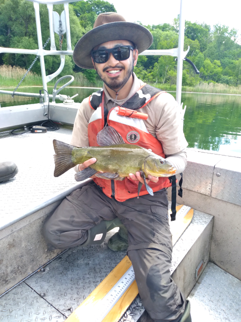 A fish biologist on about holds an invasive fish that is about 10 inches long.