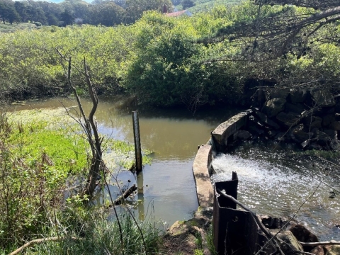 Small dam across a channel of the upper Rodeo Lagoon at Golden Gate National Recreation Area in Marin County, California