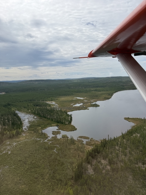 habitat just south of Lake Athabasca, Saskatchewan