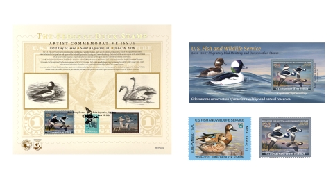 Duck Stamp Products 2026-2027