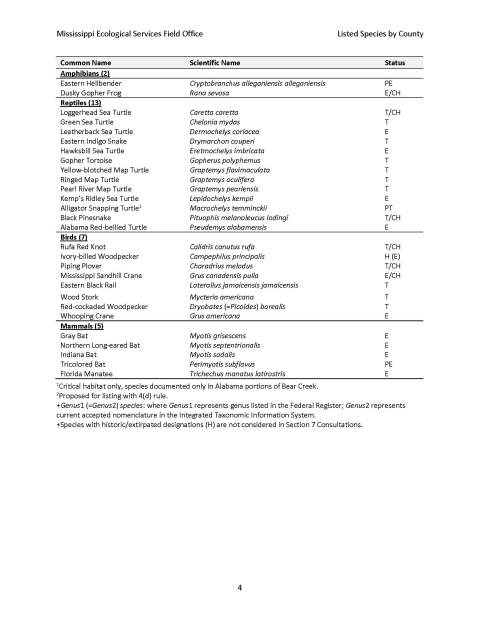 ms-tes-consultation-information_final_2025 page 10