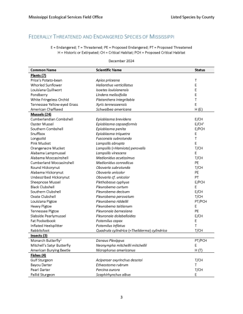 ms-tes-consultation-information_final_2025 Page 9