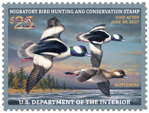 Duck Stamp 2026-2027
