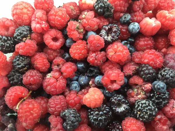 raspberries, blueberries, and blackberries